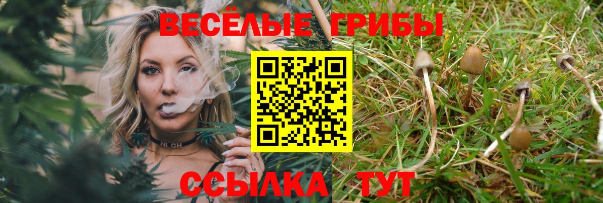 Севастополь  Псилоцибиновые грибы Psilocybe  Вход с VPN  наркошоп  Галлюциногенные грибы MAGIC MUSHROOMS 