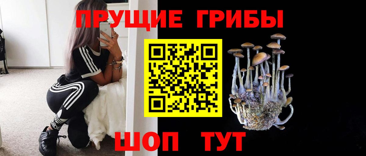 Галлюциногенные грибы Cubensis Севастополь